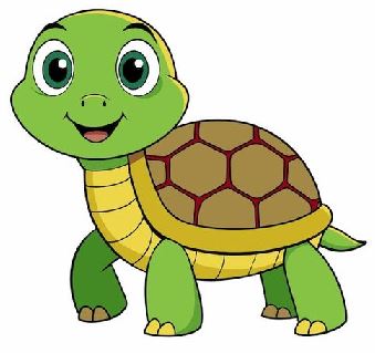 Chú rùa-01